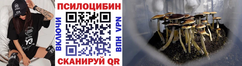 Купить где  Могоча  Псилоцибиновые грибы мухоморы 